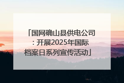 国网确山县供电公司：开展2025年国际档案日系列宣传活动