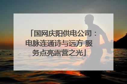 国网庆阳供电公司：电脉连通诗与远方 服务点亮露营之光