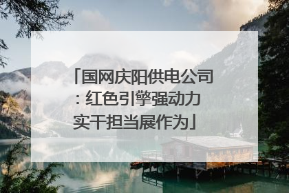 国网庆阳供电公司：红色引擎强动力 实干担当展作为