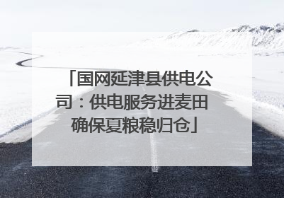 国网延津县供电公司：供电服务进麦田 确保夏粮稳归仓