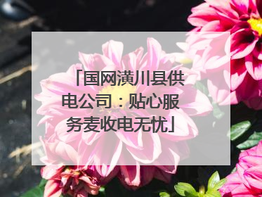 国网潢川县供电公司：贴心服务麦收电无忧