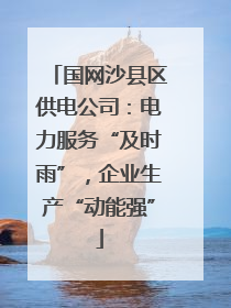 国网沙县区供电公司：电力服务“及时雨”，企业生产“动能强”