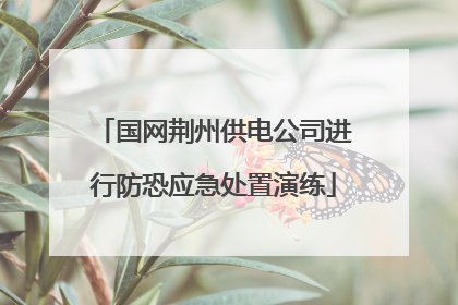 国网荆州供电公司进行防恐应急处置演练