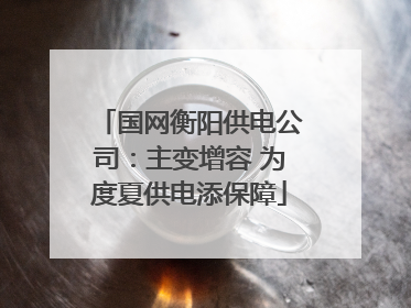 国网衡阳供电公司：主变增容 为度夏供电添保障