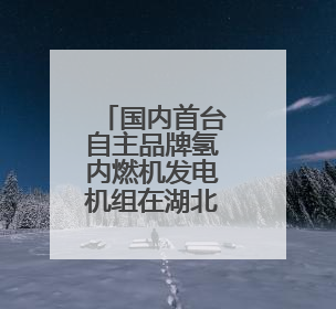 国内首台自主品牌氢内燃机发电机组在湖北投入运营