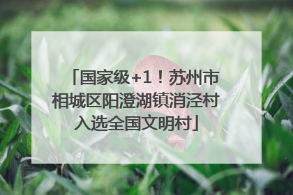 国家级+1！苏州市相城区阳澄湖镇消泾村入选全国文明村