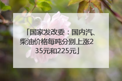 国家发改委：国内汽、柴油价格每吨分别上涨235元和225元