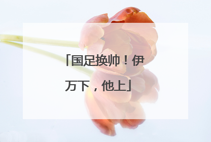 国足换帅！伊万下，他上