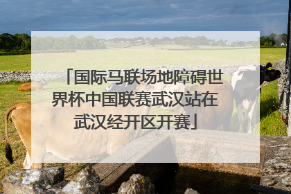 国际马联场地障碍世界杯中国联赛武汉站在武汉经开区开赛