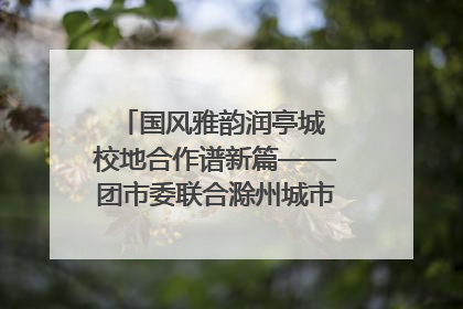 国风雅韵润亭城 校地合作谱新篇——团市委联合滁州城市职业学院助力传统文化“破圈”绽放