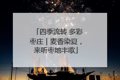 四季流转 多彩枣庄｜麦香染夏，来听枣地丰歌