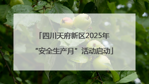 四川天府新区2025年“安全生产月”活动启动