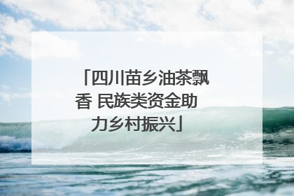四川苗乡油茶飘香 民族类资金助力乡村振兴