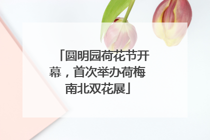 圆明园荷花节开幕，首次举办荷梅南北双花展