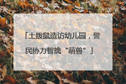 土拨鼠造访幼儿园，警民协力智擒“萌兽”