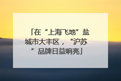 在“上海飞地”盐城市大丰区，“沪苏”品牌日益响亮