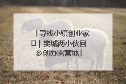 寻找小镇创业家㊳｜樊城两小伙回乡创办露营地