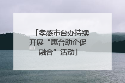 孝感市台办持续开展“惠台助企促融合”活动