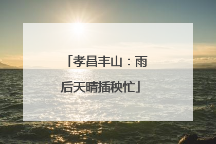 孝昌丰山：雨后天晴插秧忙