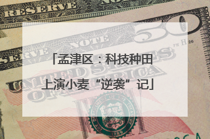 孟津区：科技种田 上演小麦“逆袭”记