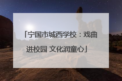 宁国市城西学校：戏曲进校园 文化润童心