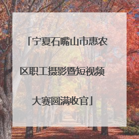 宁夏石嘴山市惠农区职工摄影暨短视频大赛圆满收官