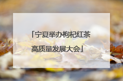 宁夏举办枸杞红茶高质量发展大会
