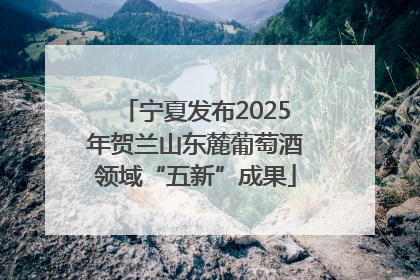 宁夏发布2025年贺兰山东麓葡萄酒领域“五新”成果