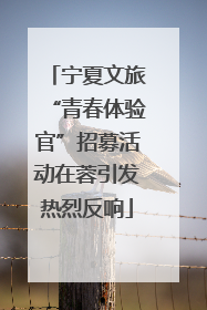 宁夏文旅“青春体验官”招募活动在蓉引发热烈反响