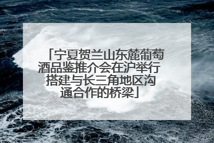 宁夏贺兰山东麓葡萄酒品鉴推介会在沪举行 搭建与长三角地区沟通合作的桥梁