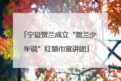 宁夏贺兰成立“贺兰少年说”红领巾宣讲团