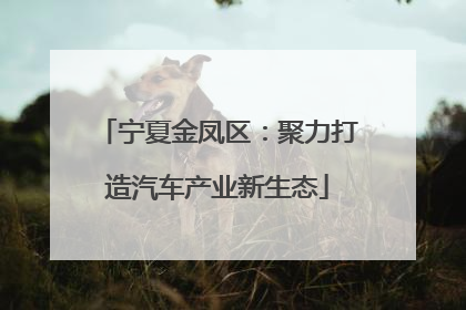 宁夏金凤区：聚力打造汽车产业新生态