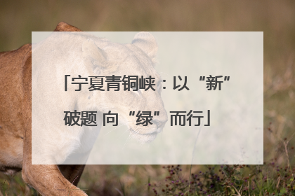 宁夏青铜峡：以“新”破题 向“绿”而行