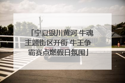 宁夏银川黄河·牛魂主题街区开街 牛王争霸赛点燃假日氛围
