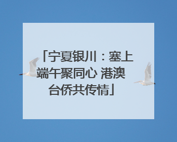 宁夏银川：塞上端午聚同心 港澳台侨共传情