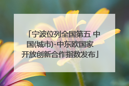 宁波位列全国第五 中国(城市)-中东欧国家开放创新合作指数发布