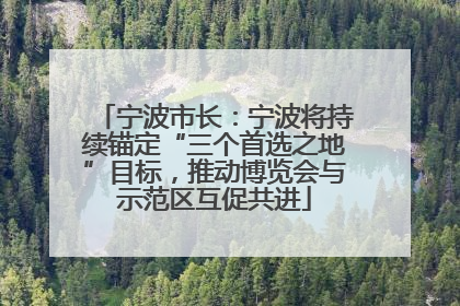 宁波市长：宁波将持续锚定“三个首选之地”目标，推动博览会与示范区互促共进