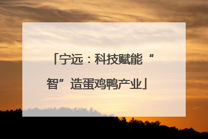 宁远：科技赋能“智”造蛋鸡鸭产业