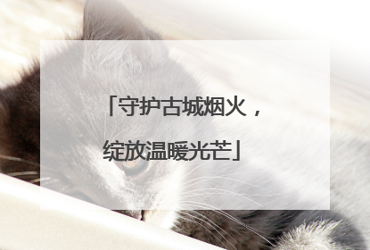 守护古城烟火，绽放温暖光芒