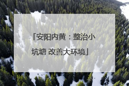 安阳内黄：整治小坑塘 改善大环境