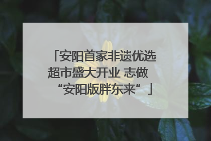 安阳首家非遗优选超市盛大开业 志做“安阳版胖东来”