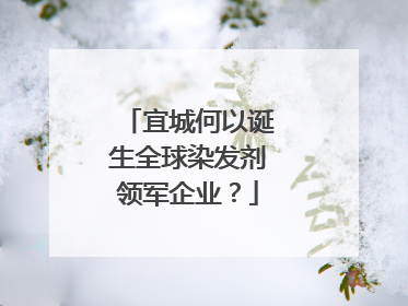 宜城何以诞生全球染发剂领军企业？