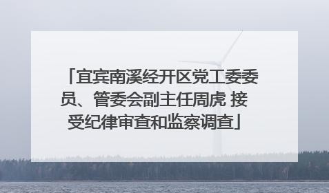 宜宾南溪经开区党工委委员、管委会副主任周虎 接受纪律审查和监察调查
