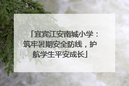 宜宾江安南城小学：筑牢暑期安全防线，护航学生平安成长