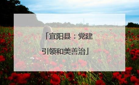 宜阳县：党建引领和美善治