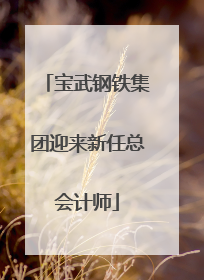 宝武钢铁集团迎来新任总会计师