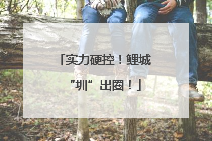 实力硬控！鲤城“圳”出圈！