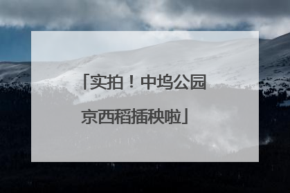 实拍！中坞公园京西稻插秧啦