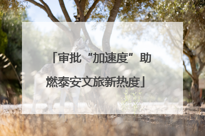 审批“加速度”助燃泰安文旅新热度