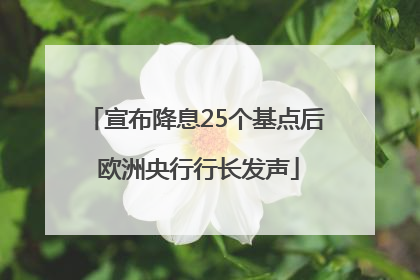 宣布降息25个基点后 欧洲央行行长发声